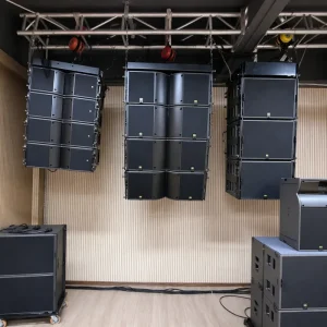 Custom OEM Neodymium Dual 12 2-Way Passive Line Array Speaker 1000W Pro Audio for Distributors & Brand Dealers