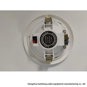 Custom Supply Ceiling Mounted & Wall Mounted Speaker Radio Function Mono Audio Button Control for Broadcasting Systems