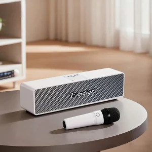 Customizable Clear Sound Quality Handheld Microphone Karaoke All in one Machine for Speakers Plastic Metal Aux DC Powered