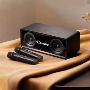 Customizable Handheld Microphone Party Portable for Karaoke Speaker with Aux Input DC Power Plastic & Metal Cabinet