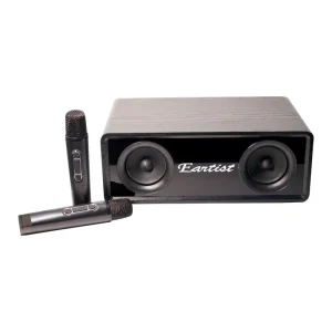 Customizable Plug in Home & Party Conference Speaker with Dual Microphones Aux Input Plastic & Metal Cabinet