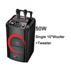 Customization TWS Single 10 Inch Trolley Karaoke Portable Party Speaker