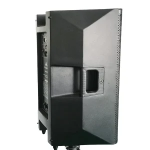 Customized Professional Powered Pair Home Active Studio Monitor Speaker FPC15AD With Dsp