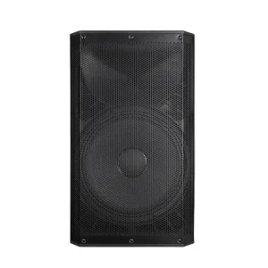 DBK 10 Inch Passive Full Range Speakers System Monitor Speakers Studio Professional LA System Sound Equipment