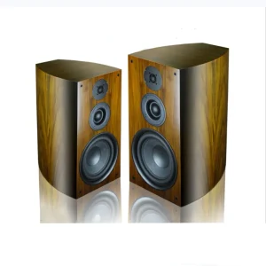 DHY 03 HiFi Bookshelf 10 Inch Speakers a Pair of Home Floor Audio 10 Inch Woofer Passive Three way