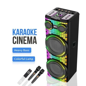 DJ Double 12inch Speaker Big TWS Big Power Woofer Speaker With Double Wireless Microphone GD-2139 Party Outdoor Home