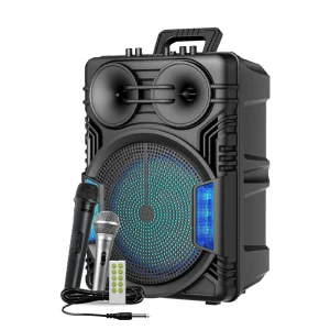厂家直销现代设计无线便携式户外DJ派对BT音箱，带TWS、FM、USB，12英寸扬声器