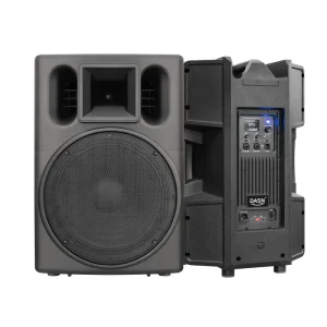 DNQ15DQ 15 Inch 700W RMS DSP Audio Outdoor DJ Stage Home Theatre Pro Compact Active Plastic Full Frequency PA Speaker