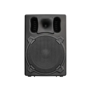 DNR 15DQ 15 Inch 700W RMS DSP Audio Outdoor DJ Stage Home Theatre Pro Compact Active Plastic Full Frequency PA Speaker