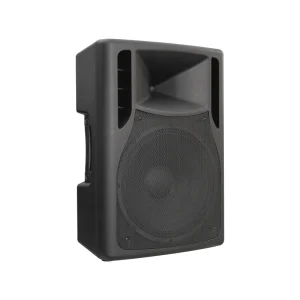 DNS15DQ 15 Inch 700W RMS DSP Audio Outdoor DJ Stage Home Theatre Pro Compact Active Plastic Full Frequency PA Speaker