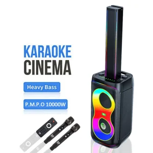 DP-2618 OEM LOGO Manufacturer Bespoke Portable Wireless Karaoke Speaker with 2 Microphones