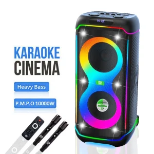 DP-2852 1032 Double 10-inch Karaoke Machine BT Portable Speaker with Flashing Light TWS Function Microphone Loud Speaker
