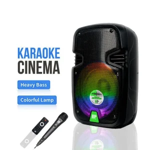 DP 681 10W Portable Bluetooth Speakers Double RGB Light USB Communication for Home Party Outdoor Camping