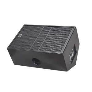 DS112M 12 Inch Passive PA Speaker Loud Monitor Speakers
