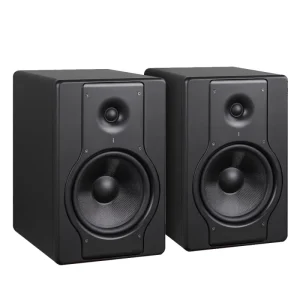 DX5A Professional Audio Sound System Active and Passive Studio Monitor Speakers