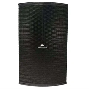 Dan-110P 1500W Active PA Speaker Class D Digital Amplifier 50Hz-18kHz Portable Wall-Mounted Live Sound Stage