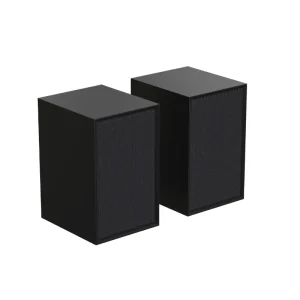 Desktop Active Speaker with AUX & Bluetooth Input Customizable Hi Fi Sound Bookshelf Speaker Multimedia Speaker System