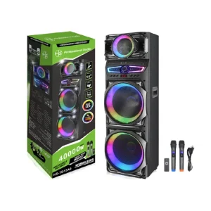 Double 15 Inch Outdoor Party Karaoke Speaker for Mobile Entertainment