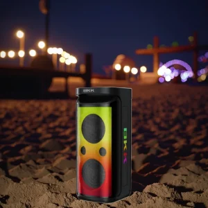 Double 6.5inch 60W Party Speaker with RGB LED Lighting High Power Portable Speakers for Outdoor Events