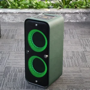 Double 8-Inch Party Speakers with Big Capacity Lithium Battery RMS 130W OEM Customize Color