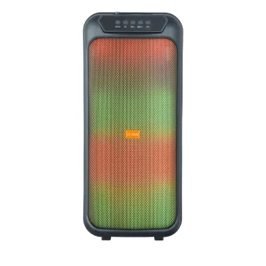 Double 8 Inch USB RGB LED Portable Outdoor Party Speaker Trolley