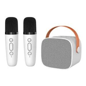 Double Mic Wireless Bluetooth Speaker with Microphone Portable Mini Home Audio Outdoor Karaoke All in One Speaker