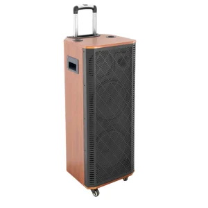 Dual 10 Inch Bass Professional High Power 270W Stereo Outdoor Party Speaker Wireless Karaoke Sound System Trolley Stage Speaker