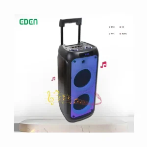Dual 10 Inch Bluetooths Wireless Multimedia TV Subwoofer Party Portable Audio Sound Box Home Theatre System Trolley Speaker