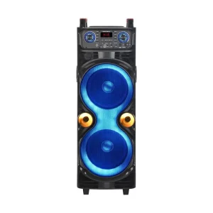 Dual 10 Inch Customizable Home Party Speaker with Wireless Mic BT USB AUX Remote Control NDR 1100