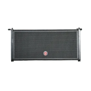 Dual 10 Inch PA System Speaker Accessories Party Outdoor Professional Line Array Speaker Sound Equipment Amplifiers Speaker