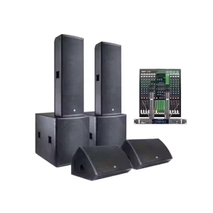 Dual 12 Inch High Power Passive Speaker Powered Speakers Monitor Active Portable Professional Audio Outdoor DJ PA Party Speaker