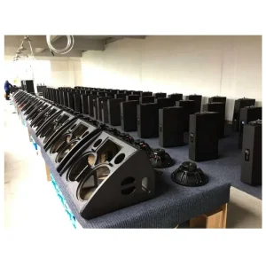 Dual 12 Inch PA Speaker for Stage Monitor Speaker for Concert Sound