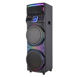 Dual 12 Inch Plastic Outdoor DJ Party Subwoofer Sound System RGB LED Lighting Wireless Microphone (2) 100-300W
