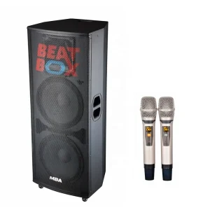Dual 15 Inch Active PA Speaker System for Outdoor Karaoke Stage with Microphones