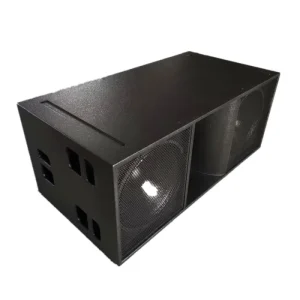 Dual 18 Inch 2000 Watt High Power Active Subwoofer Bass Speaker for Line Array