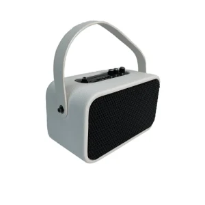 Dual 4” Bluetooth Speaker Classical 1000w Portable Karaoke Speaker
