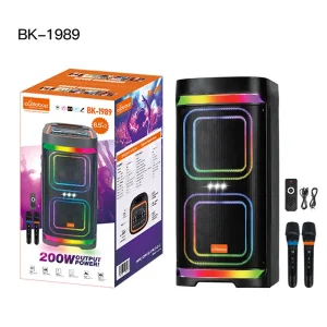 Dual 6 Inch Outdoor Bluetooth 5.3 Speaker RGB LED 40W Portable Karaoke Audio System