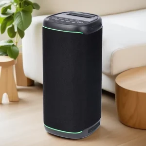 Dual 6.5 Inch Portable Speaker Wireless Speaker Customize Color OEM PA Box ABS Housing