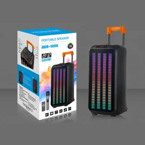 Dual 8 Inch Active Stereo Stage Loud Speaker for Outdoor Karaoke Parties Wireless Mic RGB LED for Bluetooth USB DJ Batte