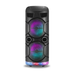 Dual 8 Inch Portable Speaker with LED Light Wired Microphone RX-8237