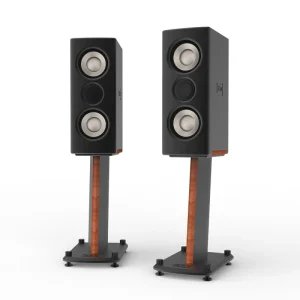 ESD Panda Plus Speaker Vertical Active Speaker Bookshelf Passive Speaker