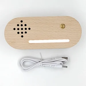 Eco Friendly DIY Wooden Bluetooth Music Box LED Luminous Base USB Charging Night Light Engraved Design Oval Shape Mascot Theme