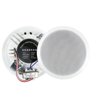Economical Ceiling Speaker 10W 70-100V 6inch Loudspeaker Stereo Subwoofer for School Shop & Hospital Use