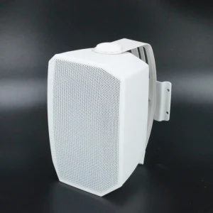 F-LHY5Q 5.25 Inch Woofer Two-way Audio Passive Speaker Public Address System Portable Speakers Wall Mounted Speaker