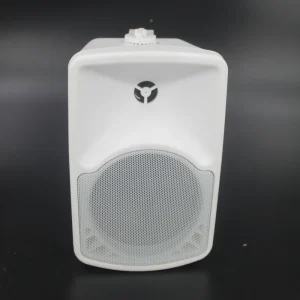 F LHY6.5P Professional 6.5 Inch 40W Two way Audio Plastic Indoor Speakers Audio System Wall Mounted Speaker