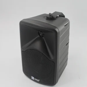 F-LHY6.5P Professional 6.5 Inch 40W Two-way Audio Plastic Passive Speakers Audio System Sound Customized Wall Mounted Speaker