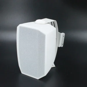 F LHY6.5Q Professional 6.5 Inch Woofer Sound Equipment amplifiers speaker Passive Speaker IP65 Wall Mounted Speaker Sound System