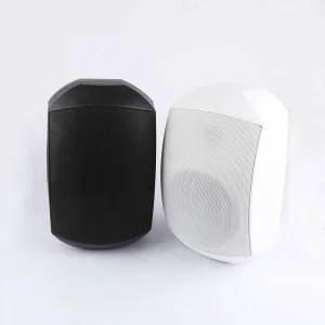 F LHY5Y Professional 5.25 Inch Woofer 30W Two way Aluminum Grill Passive Speaker IP65 Wall Mounted Speaker