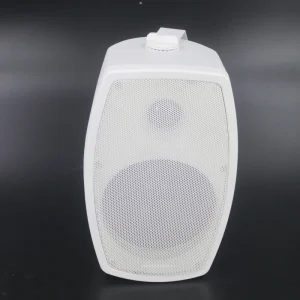F LHY6V Professional 6.5 Inch 40W Two way Audio Plastic Passive Wall Mounted Speaker