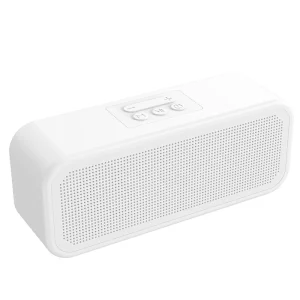 F13 Dual Wireless Speaker RGB LED WIFI Waterproof IP67 Heavy Bass